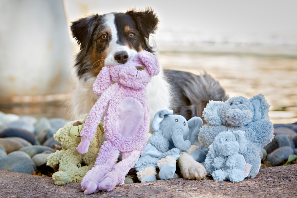 Entertaining Your Dog with Interactive Toys: A Guide to Enriching Playtime