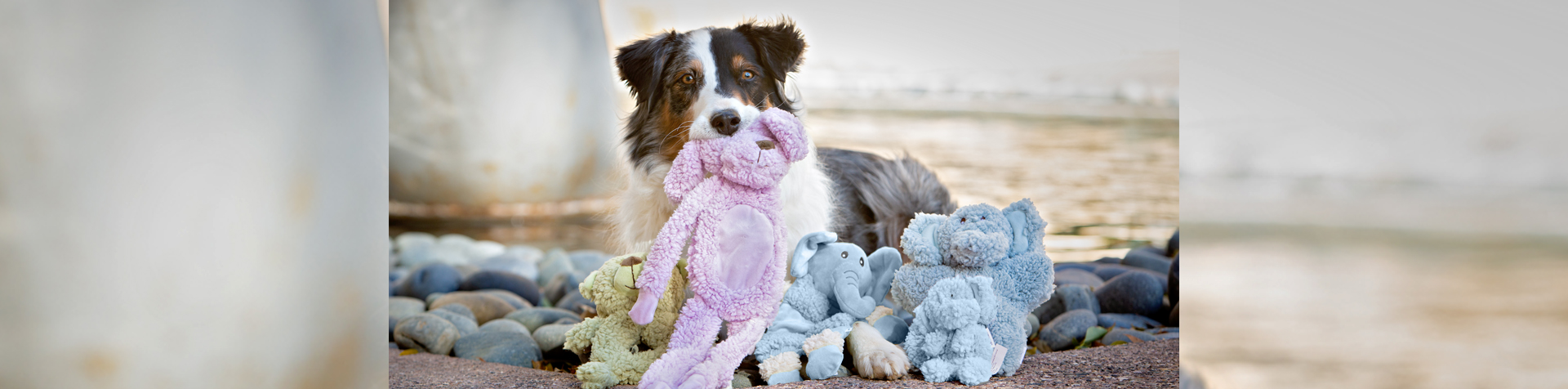 Multipet Aromadog Calming Bear Shaped Fleece Plush Assorted Dog Toy,  X-Small