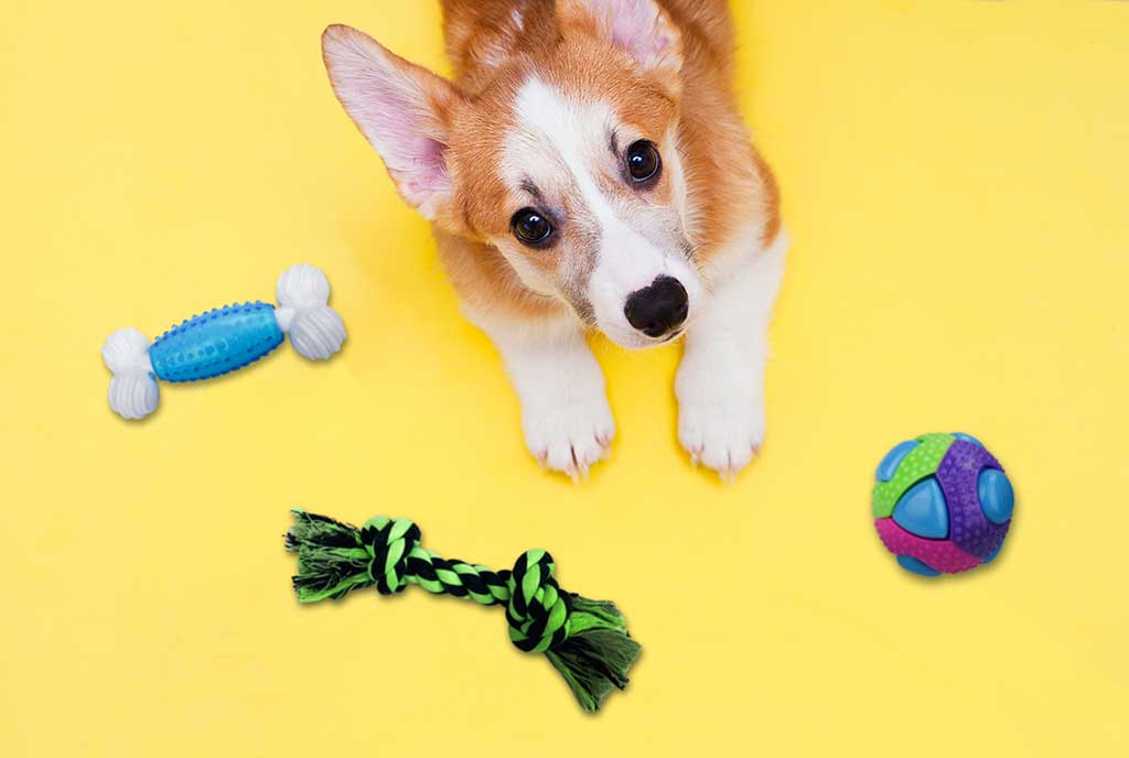 10 Best Corgi Dog Toys in 2024